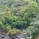 The habitat of the newly described Mount Gaoligong flying squirrel.